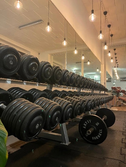 Hantelscheiben – FirstPhysio Studio Niedermurach