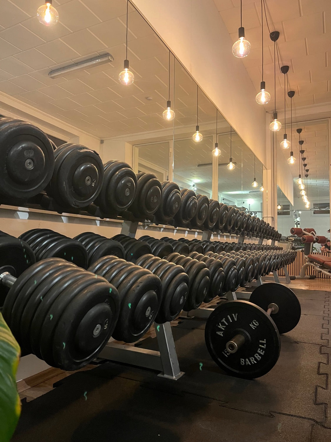 Freihantelbereich – FirstPhysio Studio Niedermurach